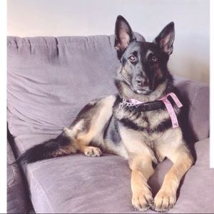 🐝 30% off Bundles of 3 or more items!!